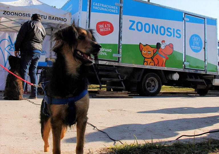 Quirofano Movil De Zoonosis En San Miguel 768x540