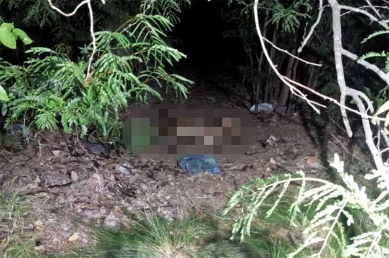 Sin Titulo 4 3 768x510