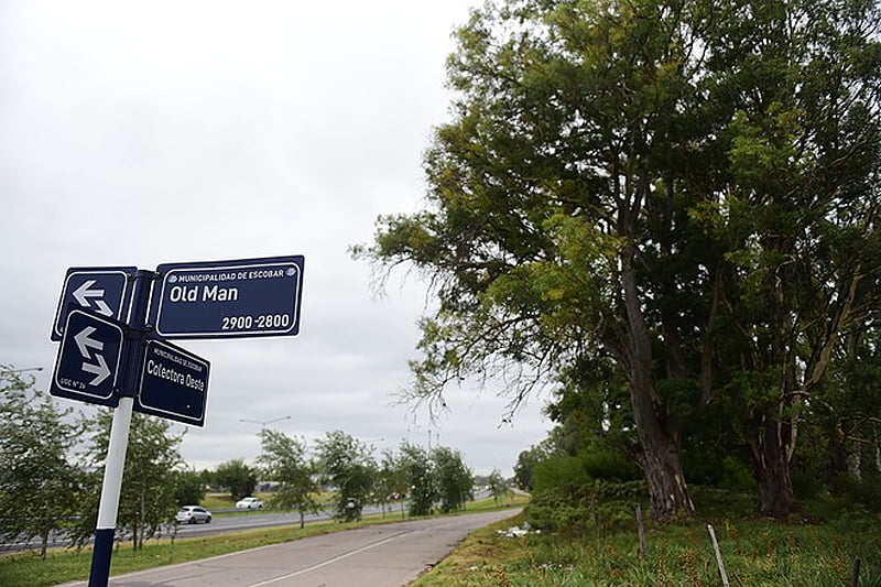 Sujarchuk confirmó que se preservarán los 228 árboles del predio de Loma Verde donde se harán viviendas del plan Procrear Sin Titulo 7 2