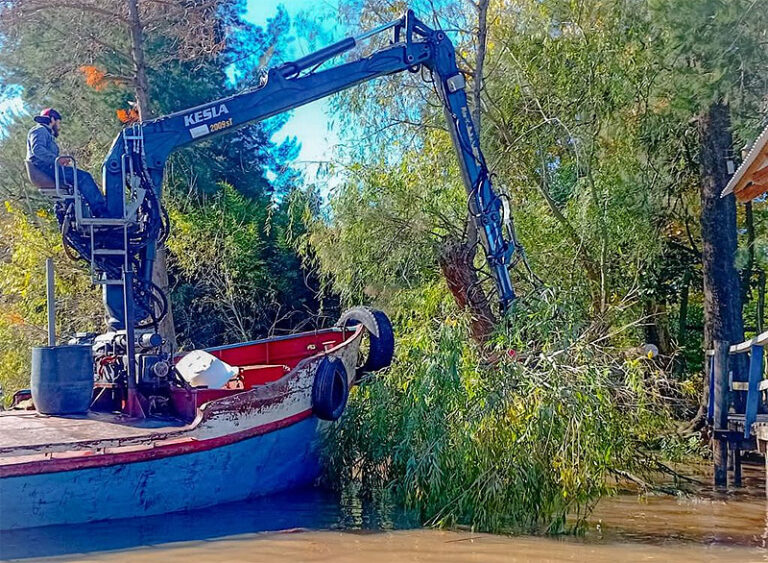 Sin Titulo 11 3 768x563