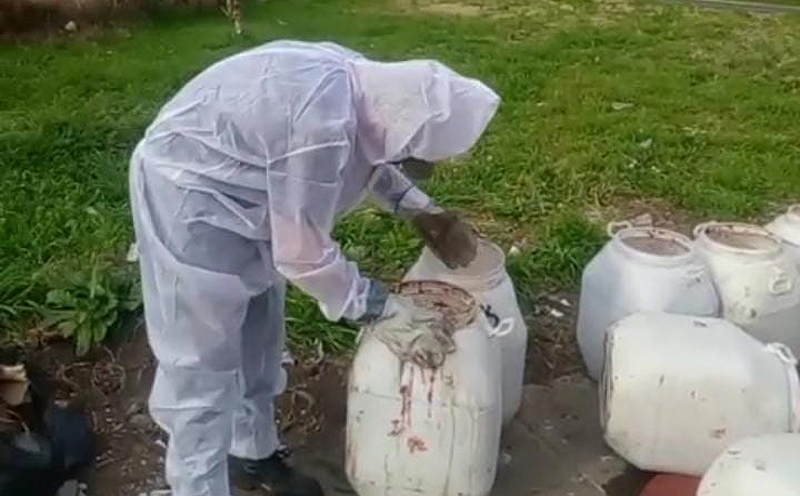 Morón erradicó un basural y avanza con acciones legales por vuelcos clandestinos sin título 1