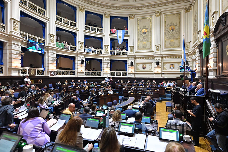 Diputados aprobó el proyecto que regula la actividad de los acompañantes terapeúticos sin título 14