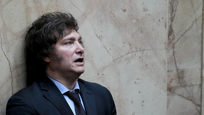 Gran derrota de Milei: El Senado rechazó el veto a la Ley de Emergencia en Discapacidad y la norma deberá ser promulgada sin título 4