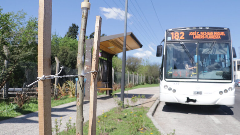 nuevos árboles en ruta 8