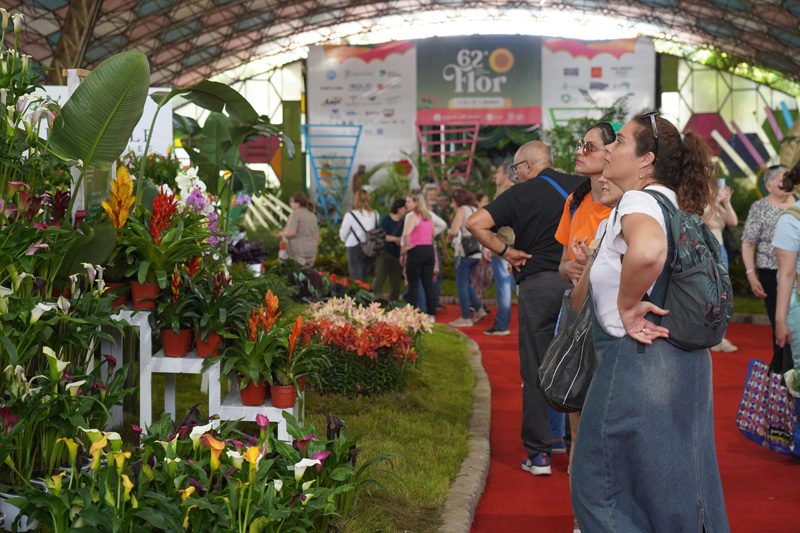 Atracciones, turistas y muchas ventas durante el fin de semana en la Fiesta Nacional de la Flor fnf 2