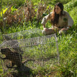 whatsapp image 2025 10 28 at 10 18 49