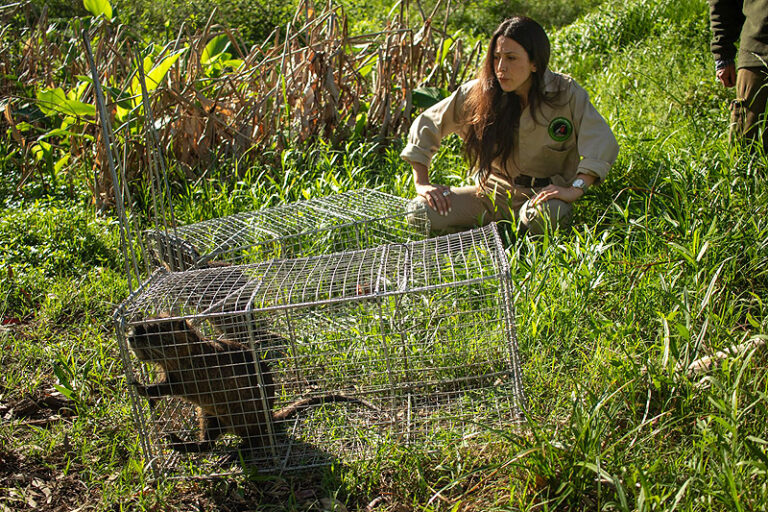 whatsapp image 2025 10 28 at 10 18 49