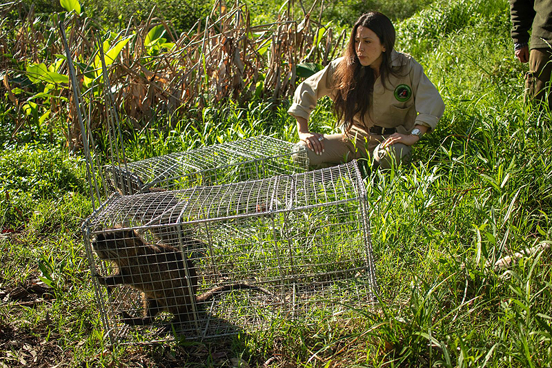 whatsapp image 2025 10 28 at 10 18 49