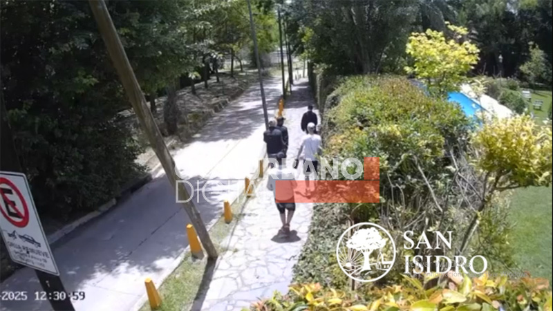 Rastreros intentaron robar en la casa de Valeria Mazza: Identificados gracias a las cámaras de San Isidro sin título 16