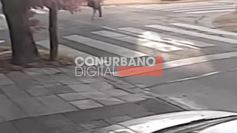 Femicidio y misterio: Asesinan a puñaladas a una mujer en las calles de Lomas del Mirador sin título 3