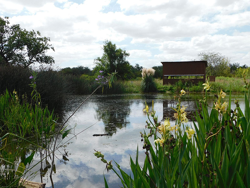 laguna en la reserva
