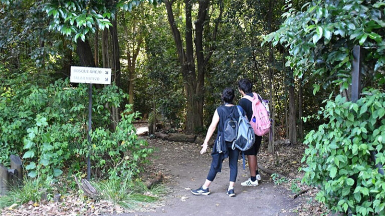 El verano se puede disfrutar en las reservas naturales de Morón sin título 3