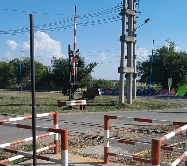 whatsapp image 2025 12 31 at 11 19 56