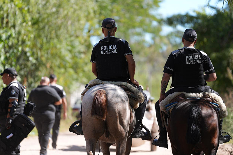 whatsapp image 2026 03 19 at 15 10 52