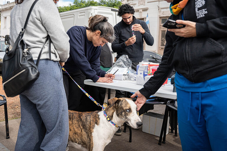 Se realizarán operativos de castración y vacunación antirrábica de perros y gatos en Moreno 1(1)
