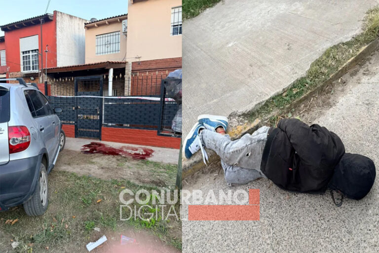 sin título 14