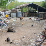 whatsapp image 2026 04 27 at 10 32 39