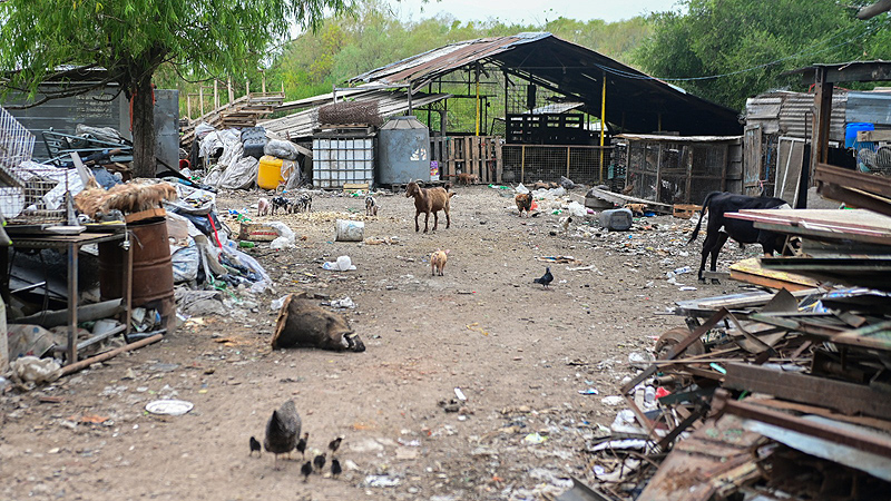 whatsapp image 2026 04 27 at 10 32 39