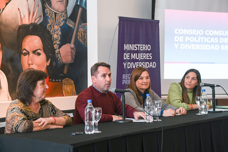 consejo consultivo de políticas de género (1)