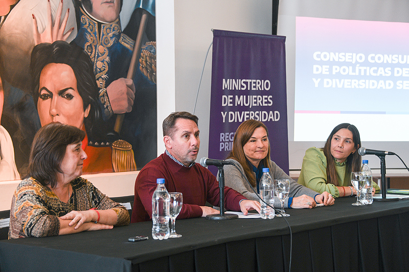 consejo consultivo de políticas de género (1)