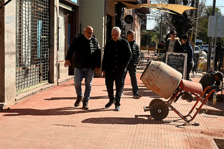 Tigre: Avanza la remodelación del corredor escolar de la Primaria 20 y Secundaria 15 de General Pacheco sin título 5