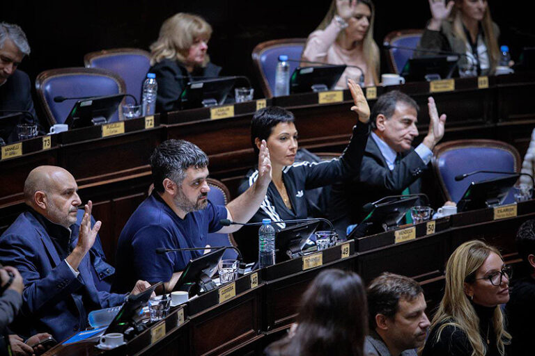La Ley Joaquín obtuvo media sanción en la Legislatura bonaerense: Que se busca con la norma sesion 28 5 (1)