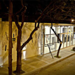 teatro martinelli