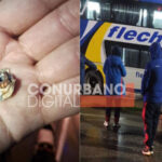 micro de tigre para cd