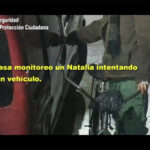 sin título 1