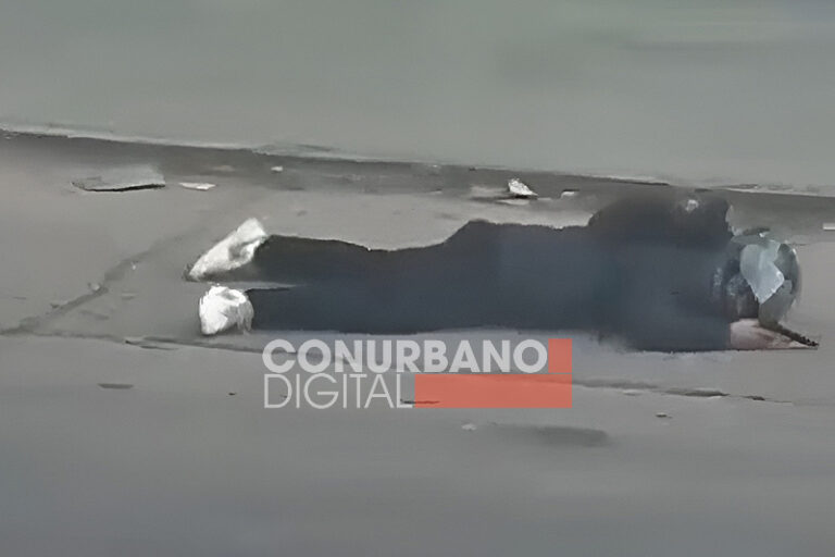 Un ladrón muerto y un cómplice detenido tras intento de asalto a un policía de la Ciudad en Los Polvorines sin título 10(2)