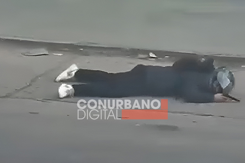 sin título 10(2)