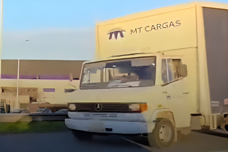 Exceso de velocidad, uso del celular, sin cinturón, patente ilegible y mal uso del carril: Las cinco infracciones juntas que cometió un camionero sin título 1(7)