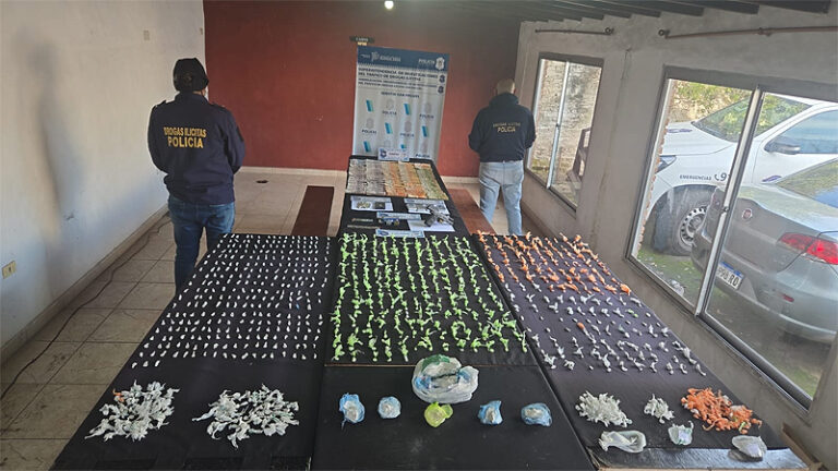 Desarticulan una banda dedicada al narcomenudeo tras tres allanamientos en Grand Bourg sin título 19