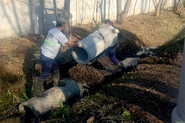 El Municipio de Tigre realiza trabajos de mantenimiento en Dique Luján sin título 4