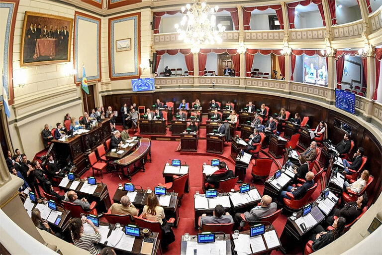 El Senado bonaerense cubrió una vacante en el Consejo de la Magistratura y aprobó la denominada Ley Joaquín sin título 5