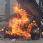 transa prendido fuego con logo