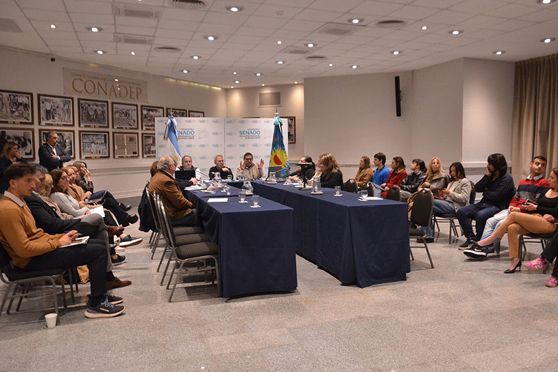 Valenzuela llevó al Senado bonaerense el debate sobre el futuro del municipalismo valenzuela llevó al senado bonaerense el debate sobre el futuro del municipalismo (2)