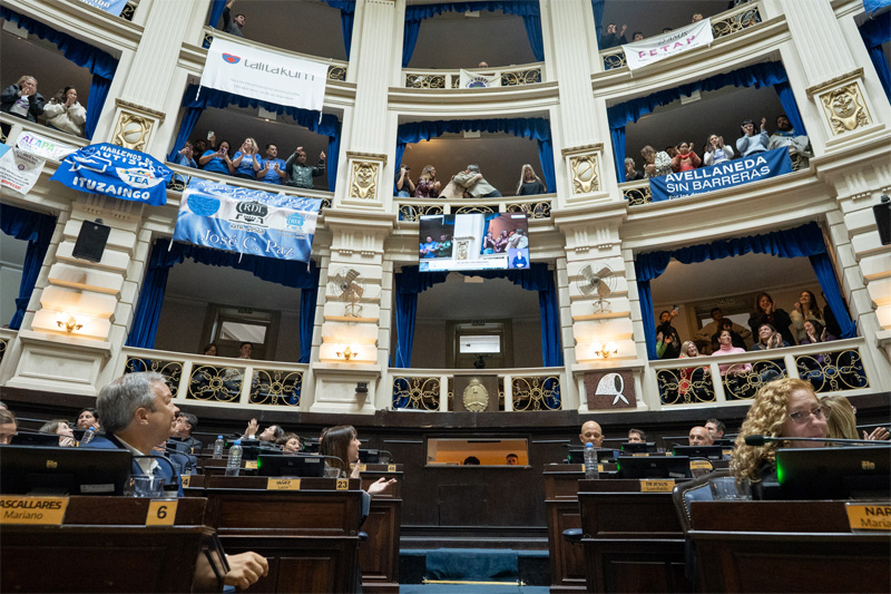 Diputados aprobó la adhesión a leyes nacionales en favor de las personas con discapacidad y hubo media sanción a la “Ley Ema” diputados aprueba ley ema