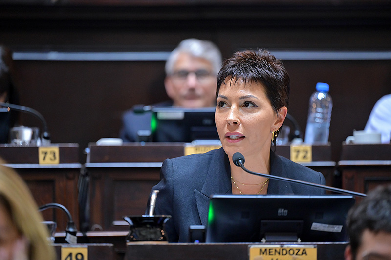 Diputados aprobó la adhesión a leyes nacionales en favor de las personas con discapacidad y hubo media sanción a la “Ley Ema” mayra en diputados