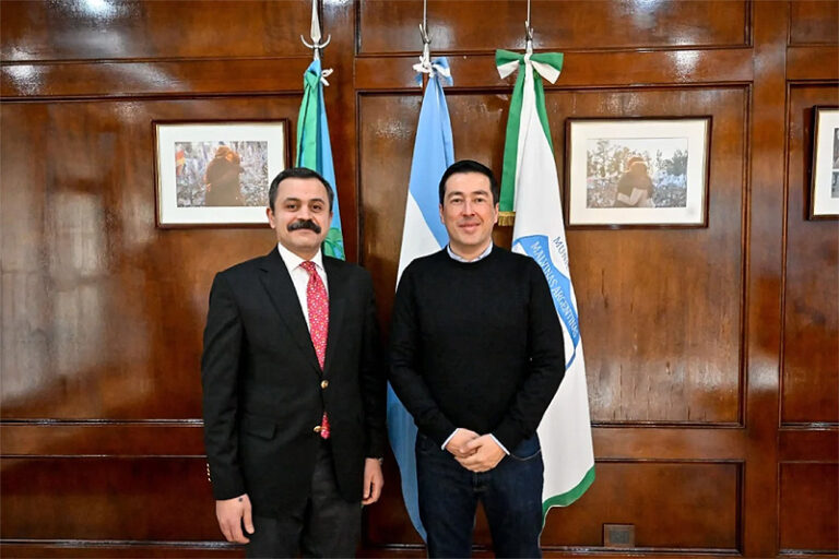sin título 15