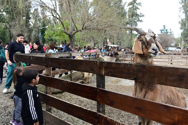 La Granja Educativa Don Benito celebró nueve años promoviendo el turismo, la educación y el bienestar animal sin título 7