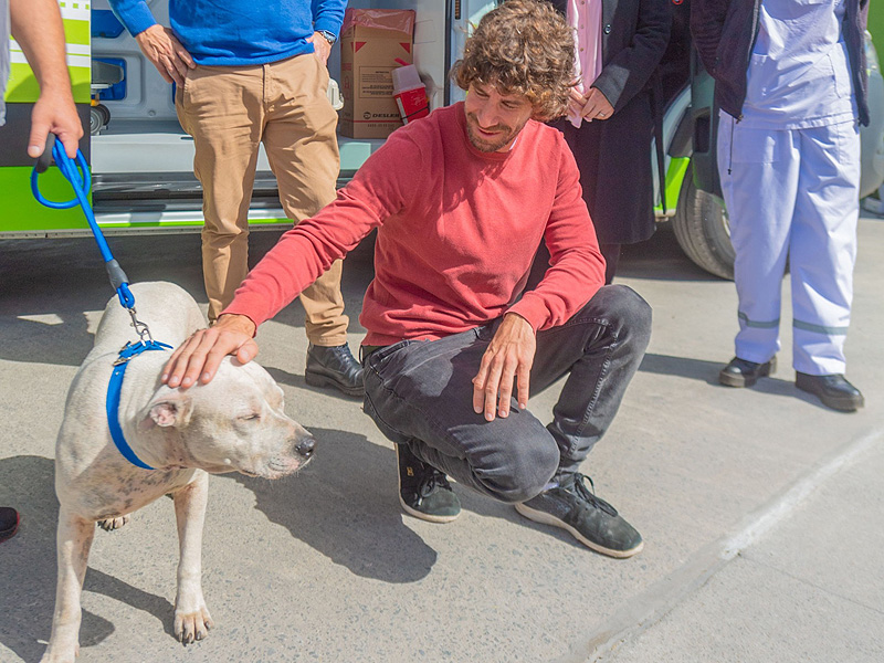 Inicio 1 san fernando contra la venta de animales ago2026