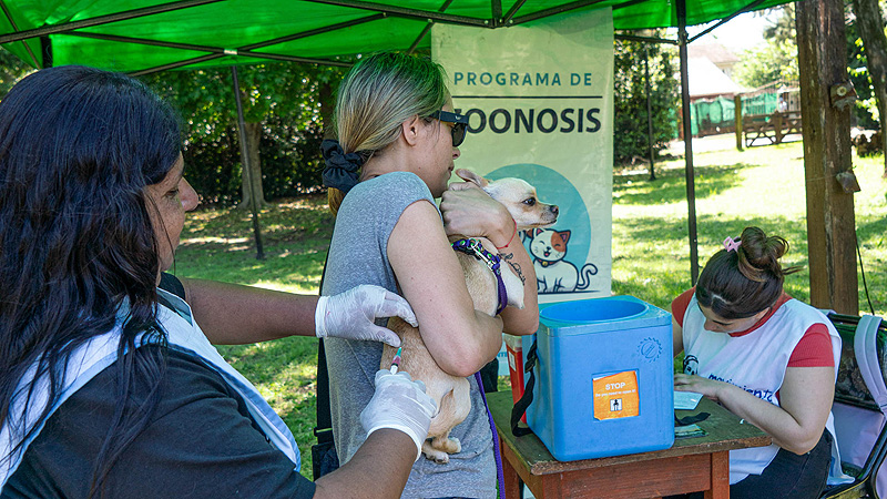 Se realizarán operativos de castración y vacunación antirrábica de perros y gatos en Moreno 1(22)
