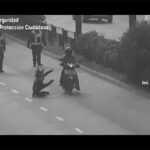 sin título 1