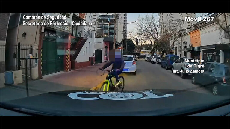 Las cámaras del Centro de Operaciones Tigre detectaron el robo de una bicicleta en el centro del distrito: Detuvieron al ladrón sin título 9
