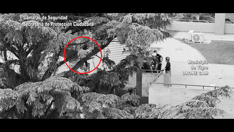 Un ladrón con miedo a las alturas: Ingresó a robar a una casa, pero al intentar escapar quedó atrapado en un árbol y tuvieron que rescatarlo unnamed(3)