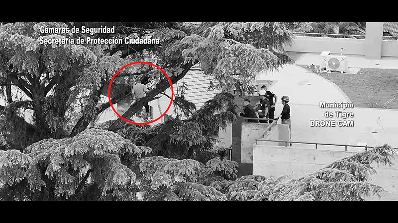 Un ladrón con miedo a las alturas: Ingresó a robar a una casa, pero al intentar escapar quedó atrapado en un árbol y tuvieron que rescatarlo unnamed(3)
