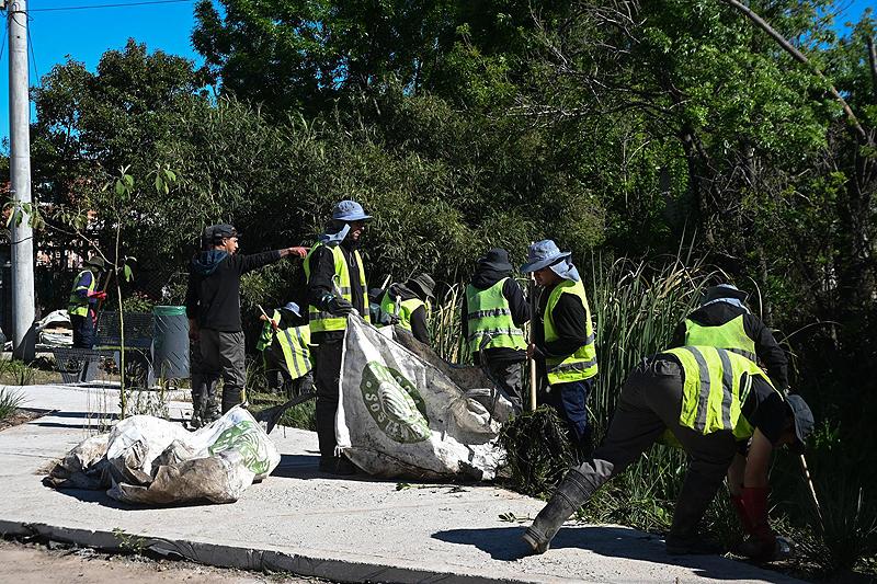 Trabajos de limpieza y mantenimiento urbano en Ingeniero Maschwitz a través de la iniciativa municipal “Día verde” whatsapp image 2026 10 20 at 11 59 51 1